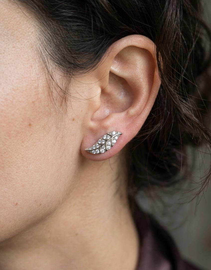 Willow Studs